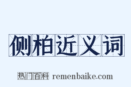 侧柏近义词是什么意思的图片